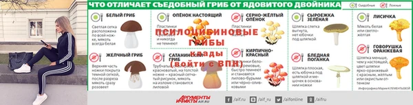 PSILOCYBIN Алексин