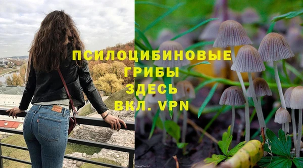 PSILOCYBIN Алексин