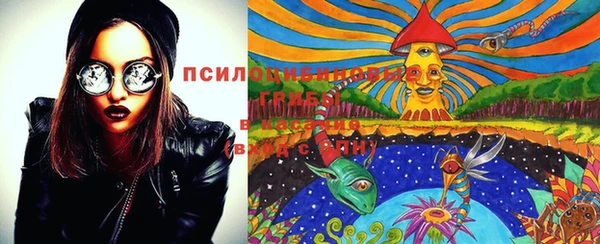 PSILOCYBIN Алексин