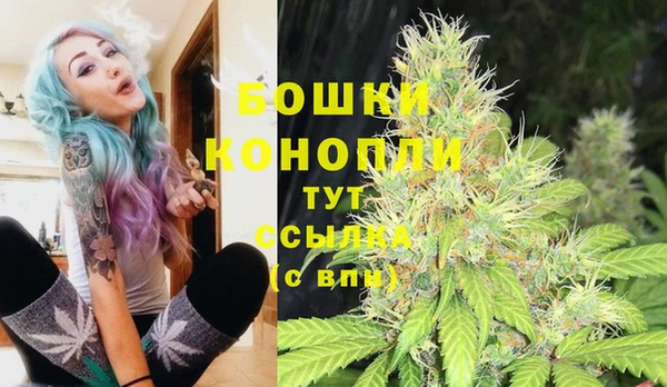 ГАЛЛЮЦИНОГЕННЫЕ ГРИБЫ Приозерск